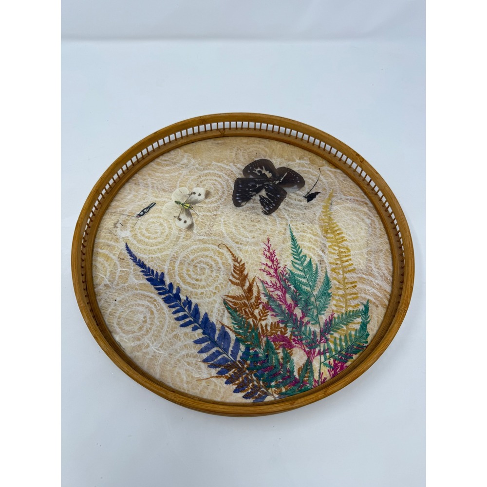 Vintage Interpur Bamboo Gallery Tray Real Pressed Butterfly Ferns Taiwan ROC